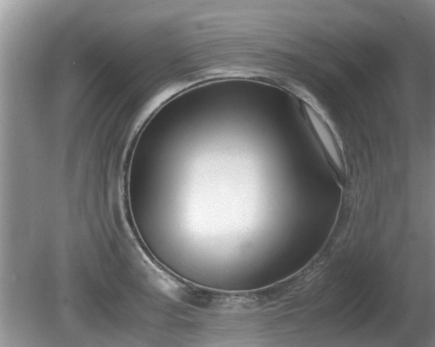 X0000081391187200701182224