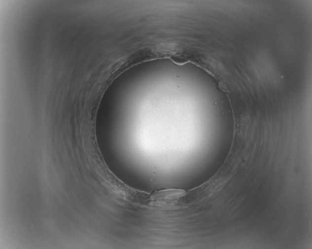 X0000081391201200701182223