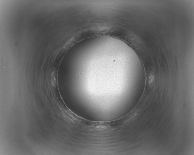 X0000081391204200701182223