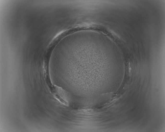 X0000081391206200701182223