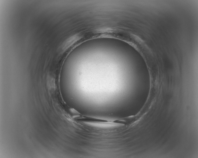 X0000081391209200701182223