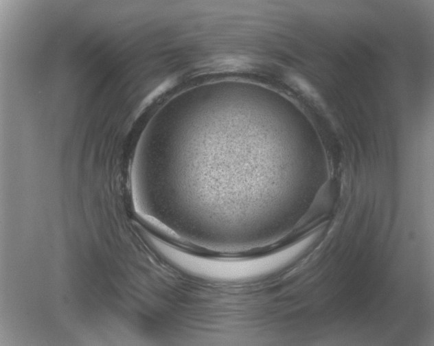 X0000081391210200701182223