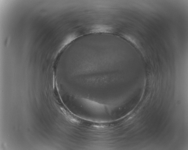 X0000081391219200701182223