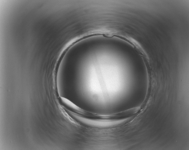 X0000081391238200701182224