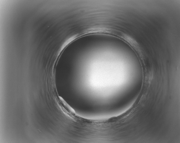 X0000081391242200701182224