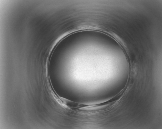 X0000081391246200701182224