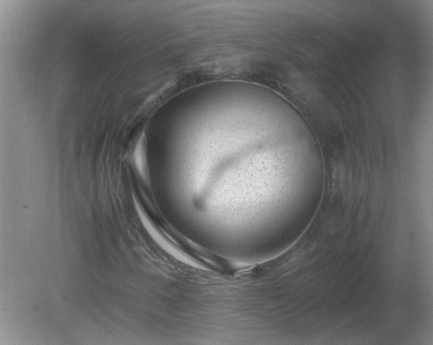 X0000081391250200701182223
