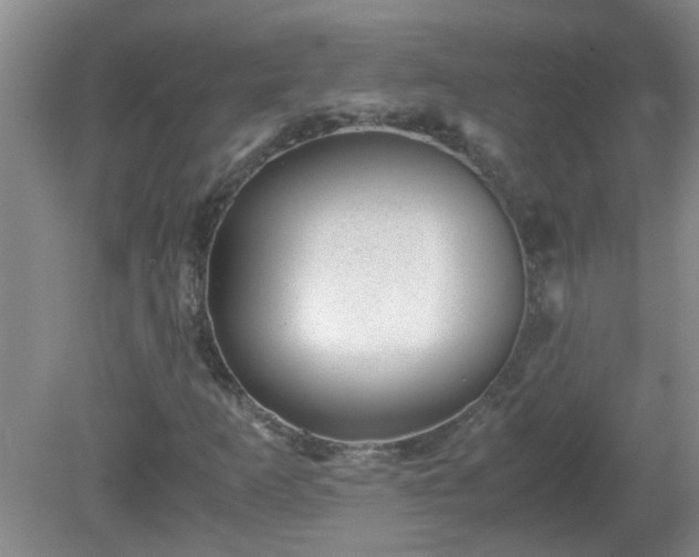 X0000081391253200701182223