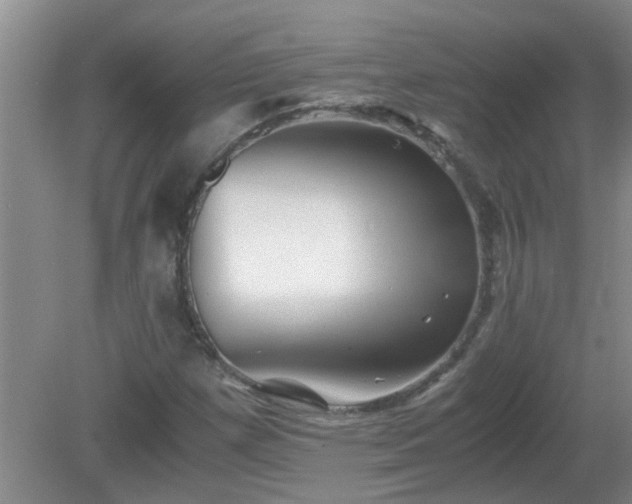 X0000081391257200701182223