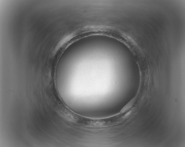 X0000081391261200701182223