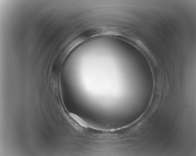 X0000081391281200701182222