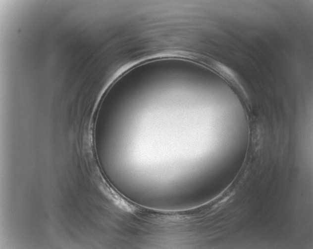X0000081391292200701182222