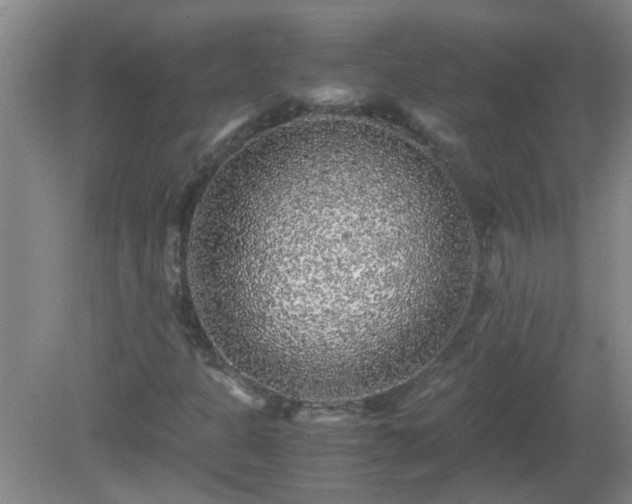 X0000081391301200701182221