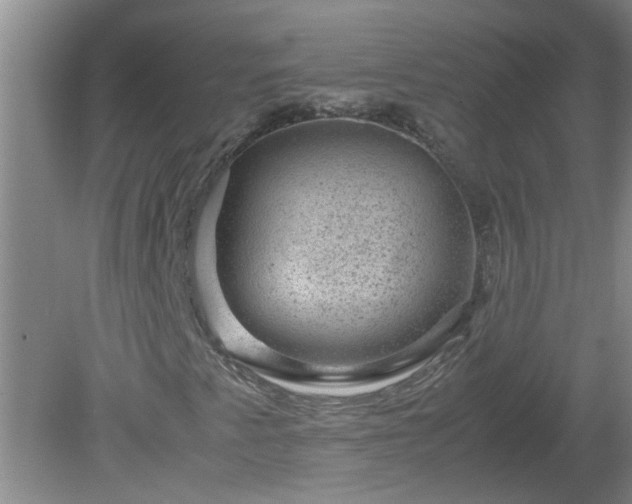 X0000081391345200701182221