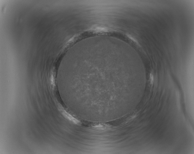 X0000081391348200701182221