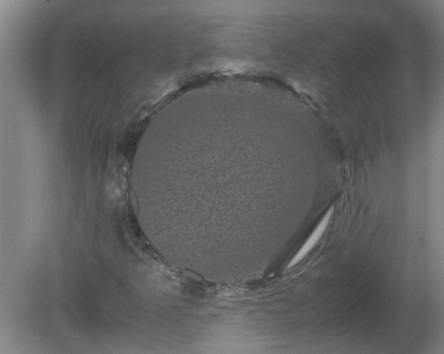 X0000081391349200701182221