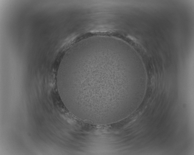 X0000081391350200701182221
