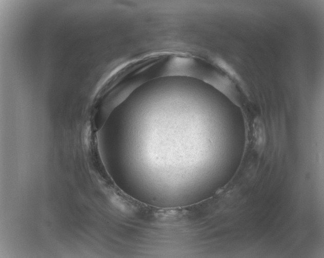 X0000081391352200701182221
