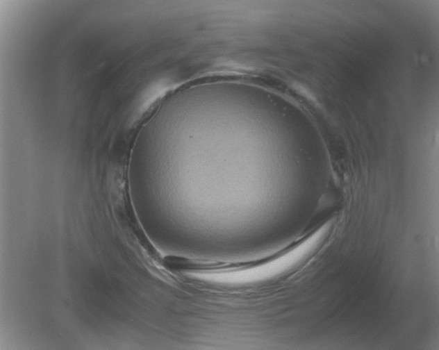 X0000081391355200701182221