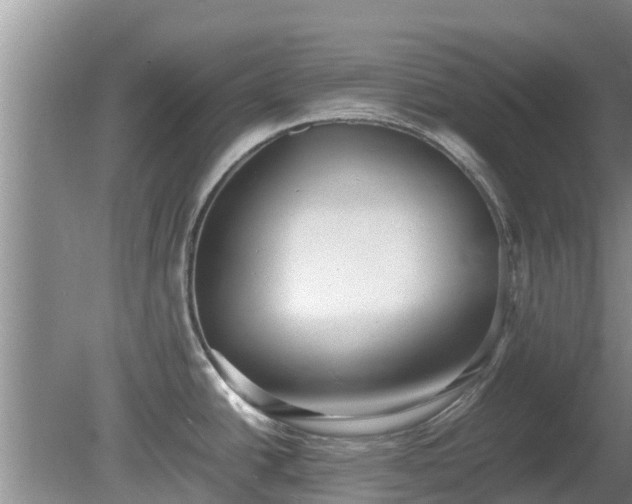 X0000081391438200701182220