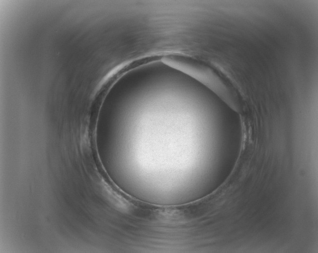 X0000081391452200701182219