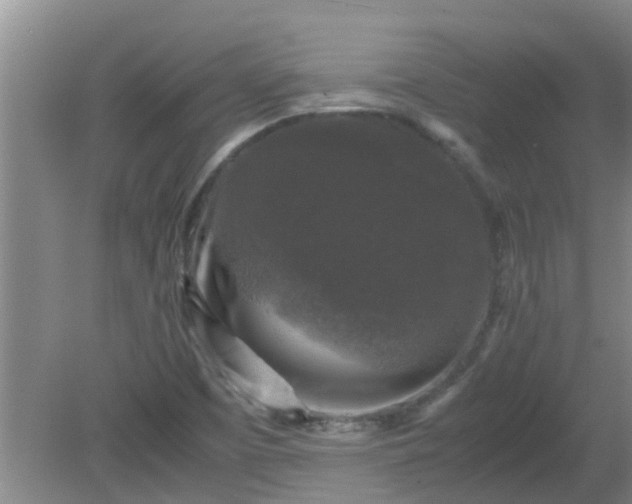 X0000081391457200701182219