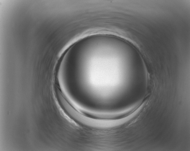 X0000081391518200701182219