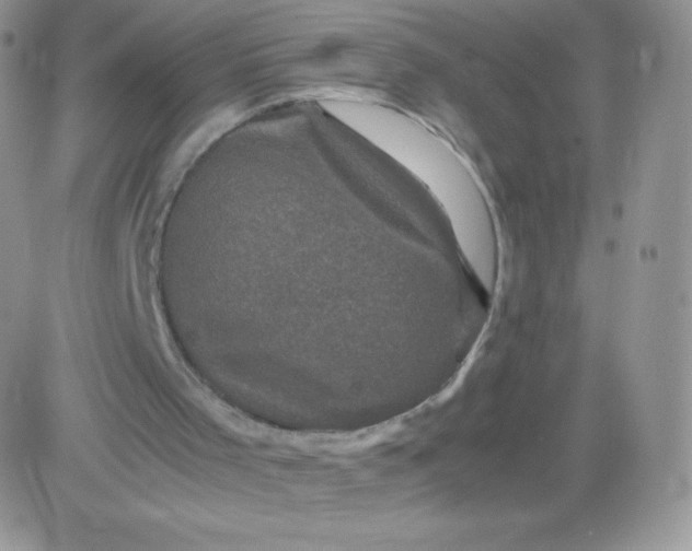 X0000081390001200701252116