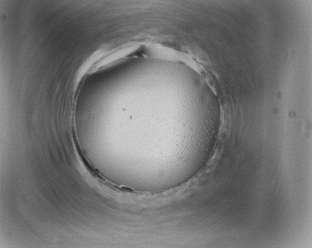 X0000081390003200701252116