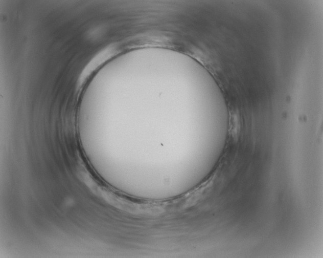 X0000081390004200701252116