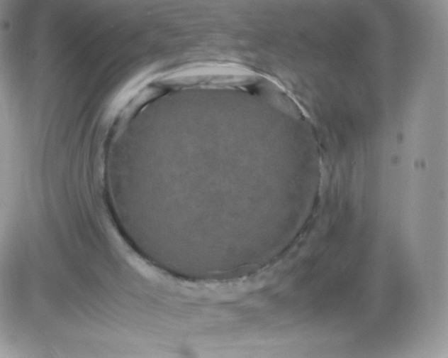 X0000081390005200701252116