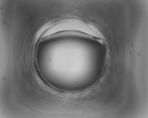 X0000081390007200701252116