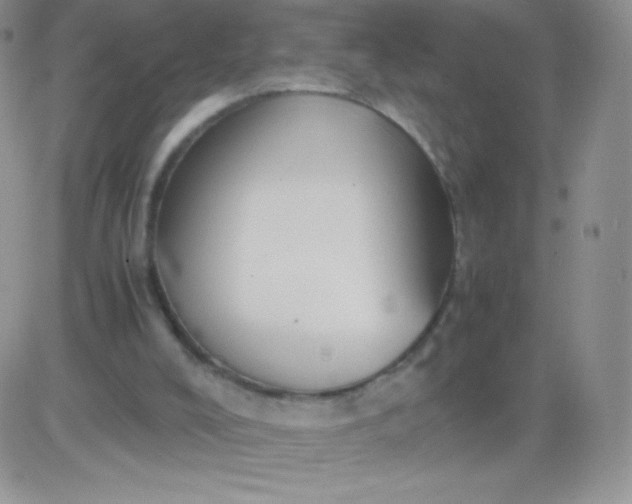 X0000081390008200701252116