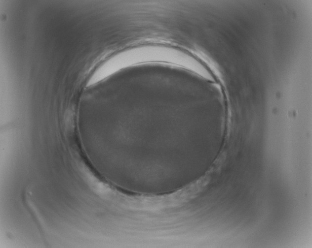 X0000081390009200701252116