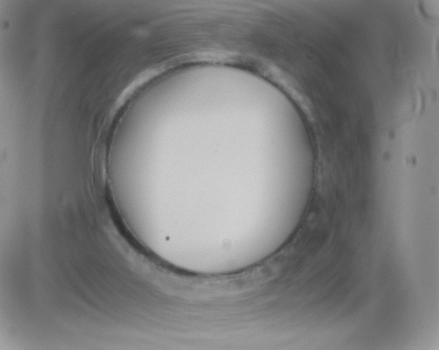 X0000081390011200701252116