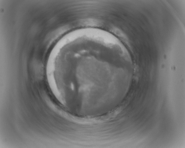 X0000081390012200701252116