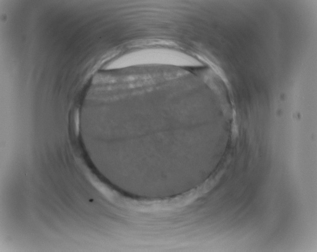 X0000081390013200701252116