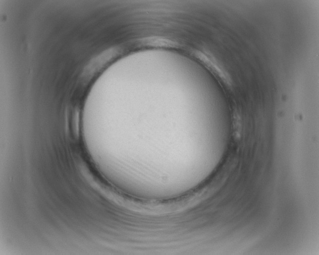 X0000081390014200701252116