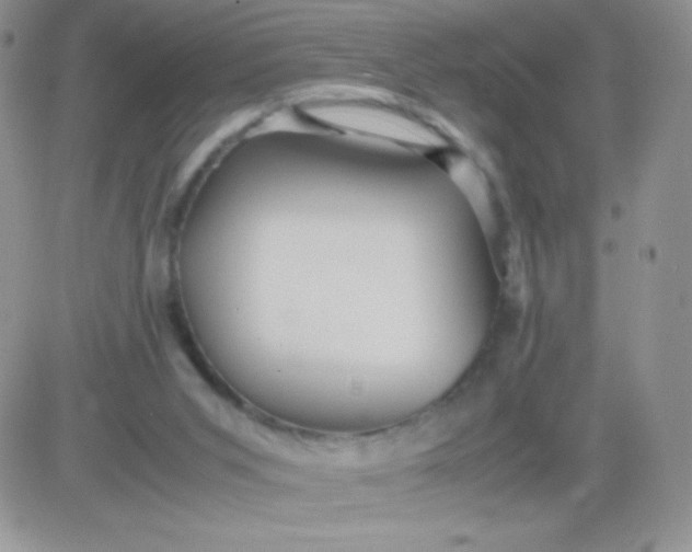 X0000081390015200701252116