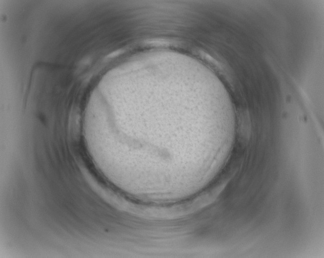 X0000081390016200701252116