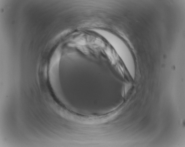 X0000081390019200701252116