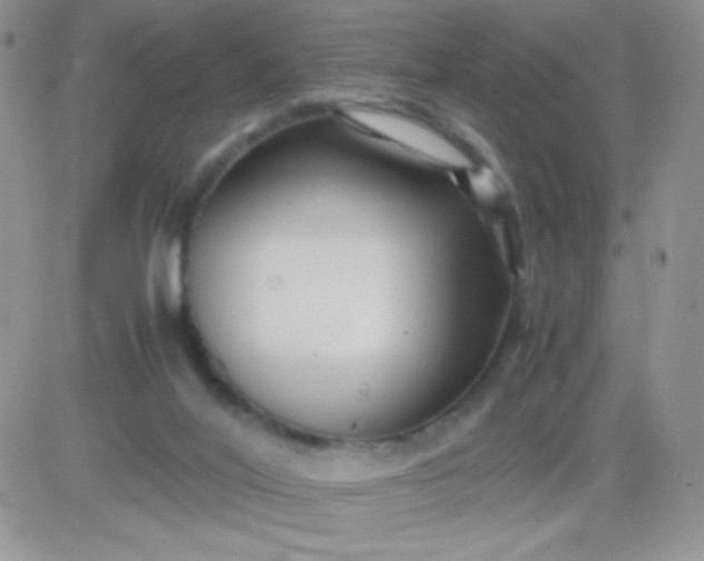 X0000081390020200701252116