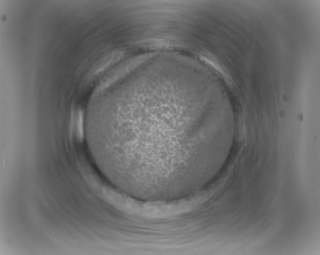 X0000081390022200701252116