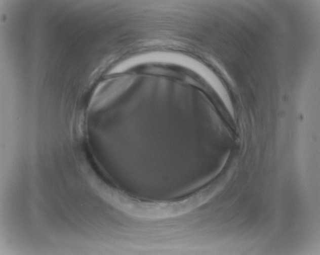 X0000081390023200701252116