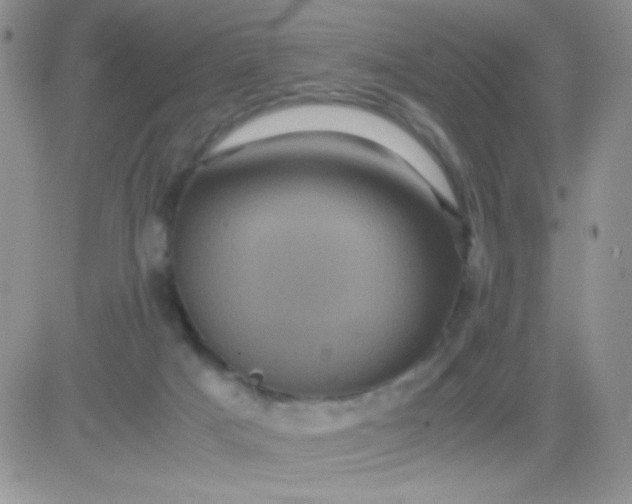 X0000081390025200701252115