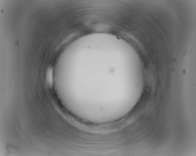 X0000081390028200701252115