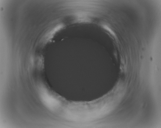 X0000081390029200701252115