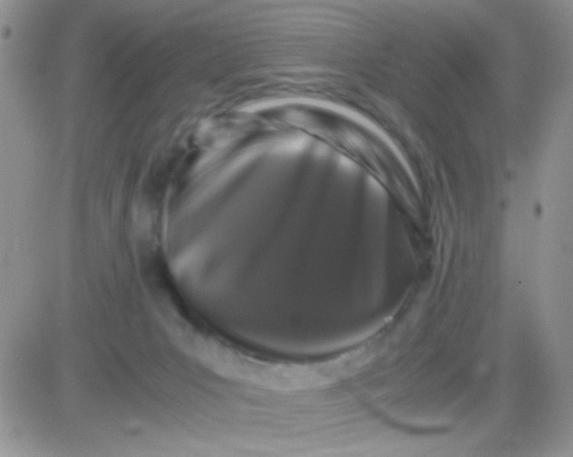 X0000081390031200701252115