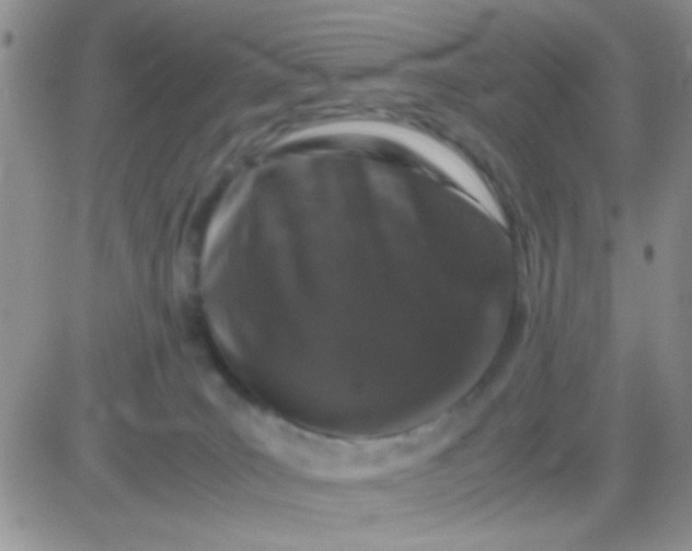 X0000081390035200701252115