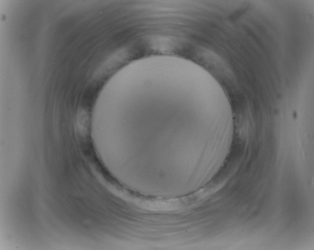 X0000081390036200701252115